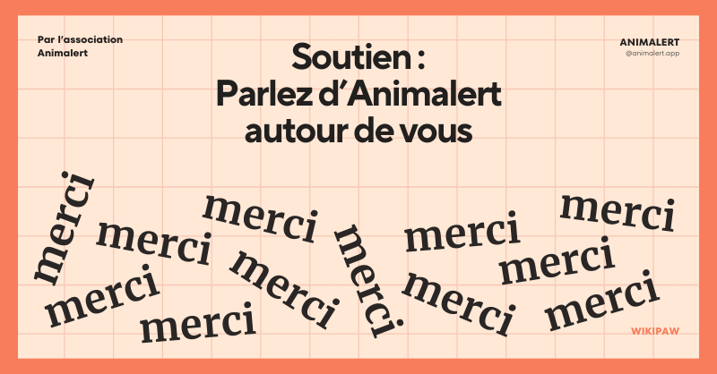 Couverture de partage, on y voit autant de fois que possible le terme "merci" pour remercier nos utilisateurs, lecteurs et membres de parler de nous.