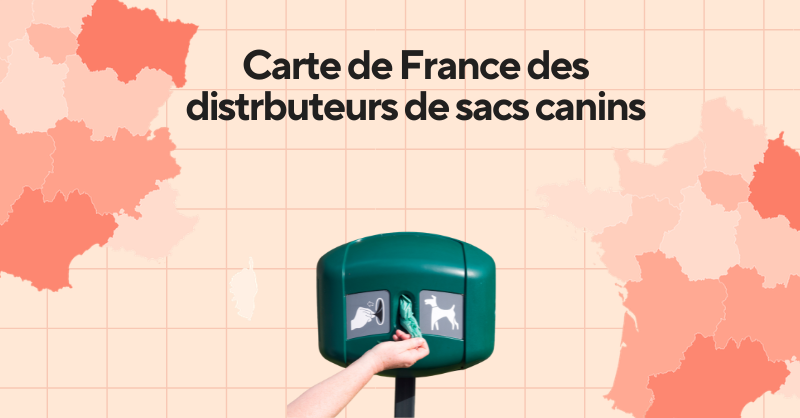 Carte de France colorée par région selon le nombre de distributeurs de sacs canins recensés, sur fond clair, avec le titre du jeu de données, le Grand-Est et l'Occitanie ressortent en tête