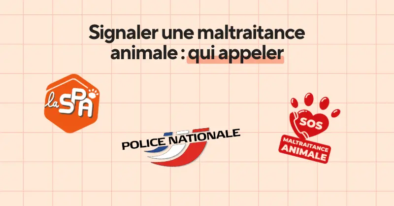 Liste des différents services a appeler en cas de problème avec titre de l'article