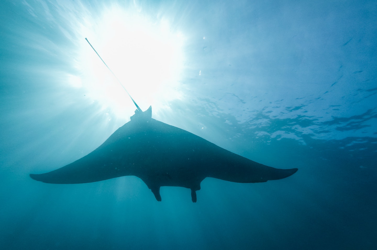 Lembongan Mantas