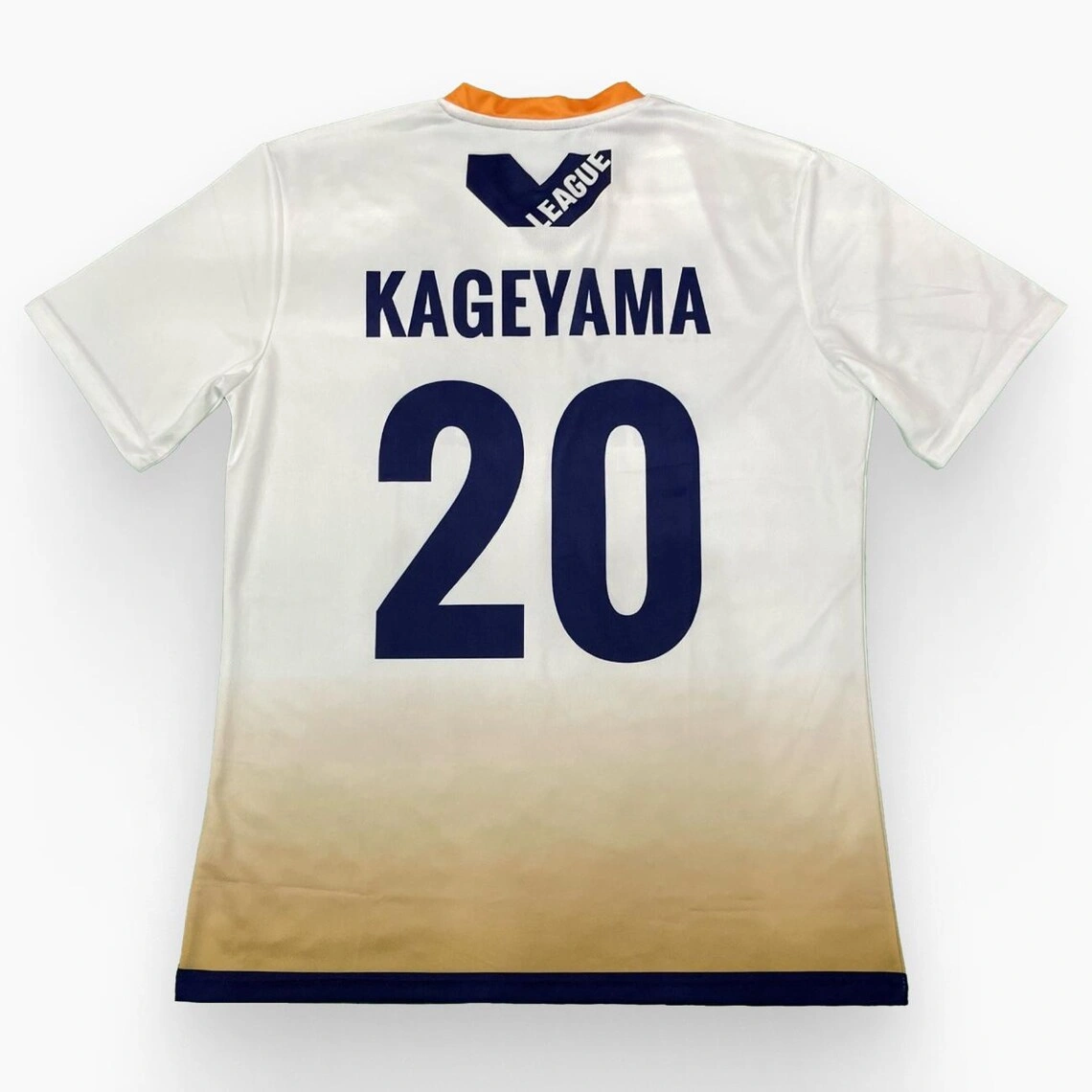 Schweiden Adlers Volleyball Jersey - Alternate