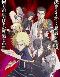 Ninja vs. Gokudo