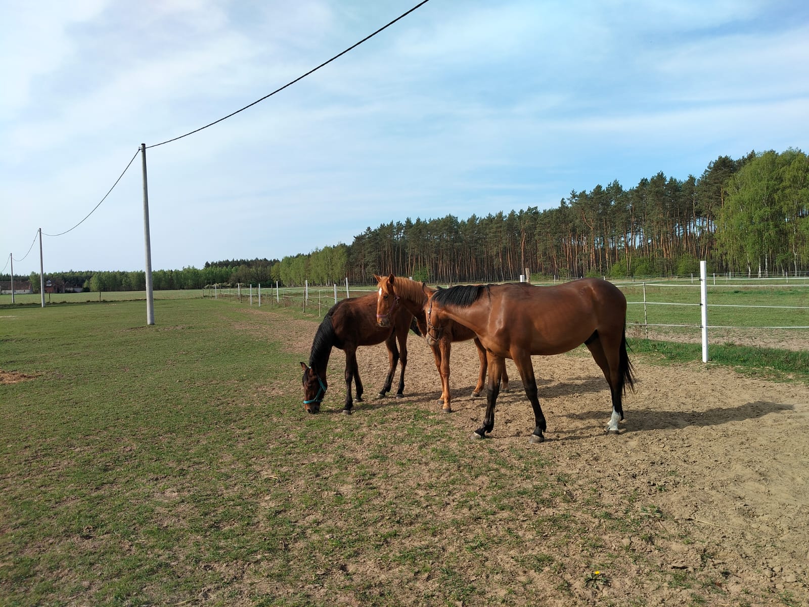 Farm Photo 1