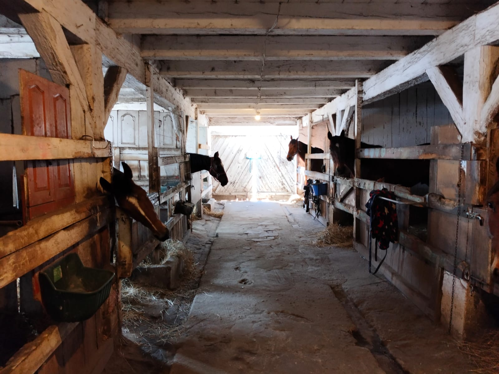 Farm Photo 3