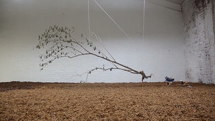 Tree Branch Supported on Rope, Electric Engine, Tree Bark Shattered on the Ground | by Anna Godzina.