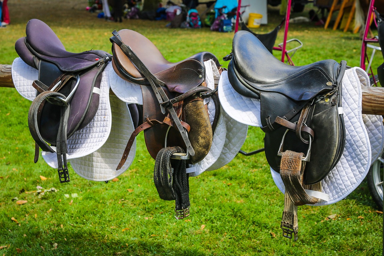 Vente matériel d'équitation d'occasion