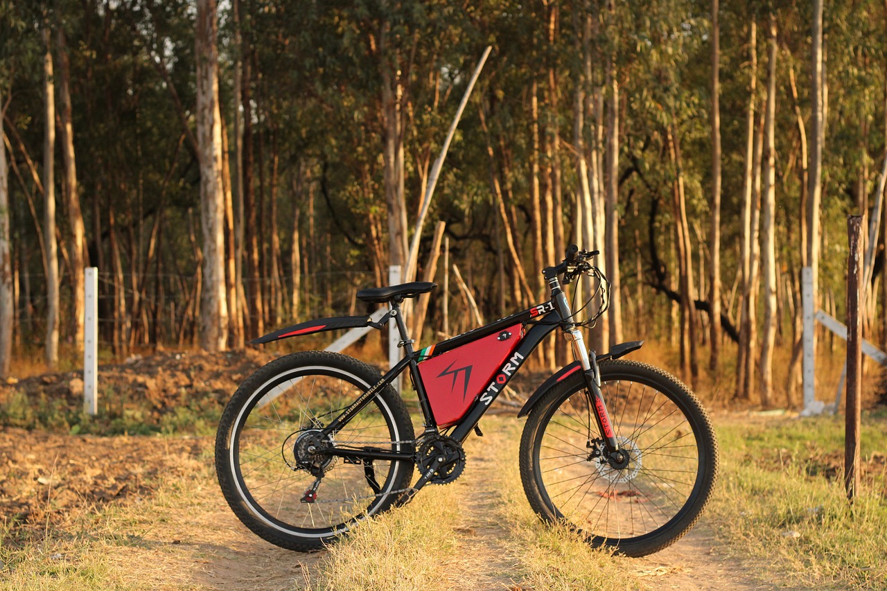 Vélo électrique d'occasion
