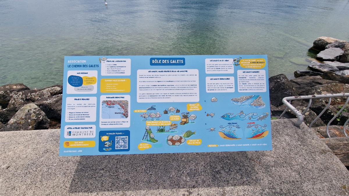 Le Léman, un Écrin de Vie : Plongée au Cœur de la Reproduction de nos Poissons - Photo 2