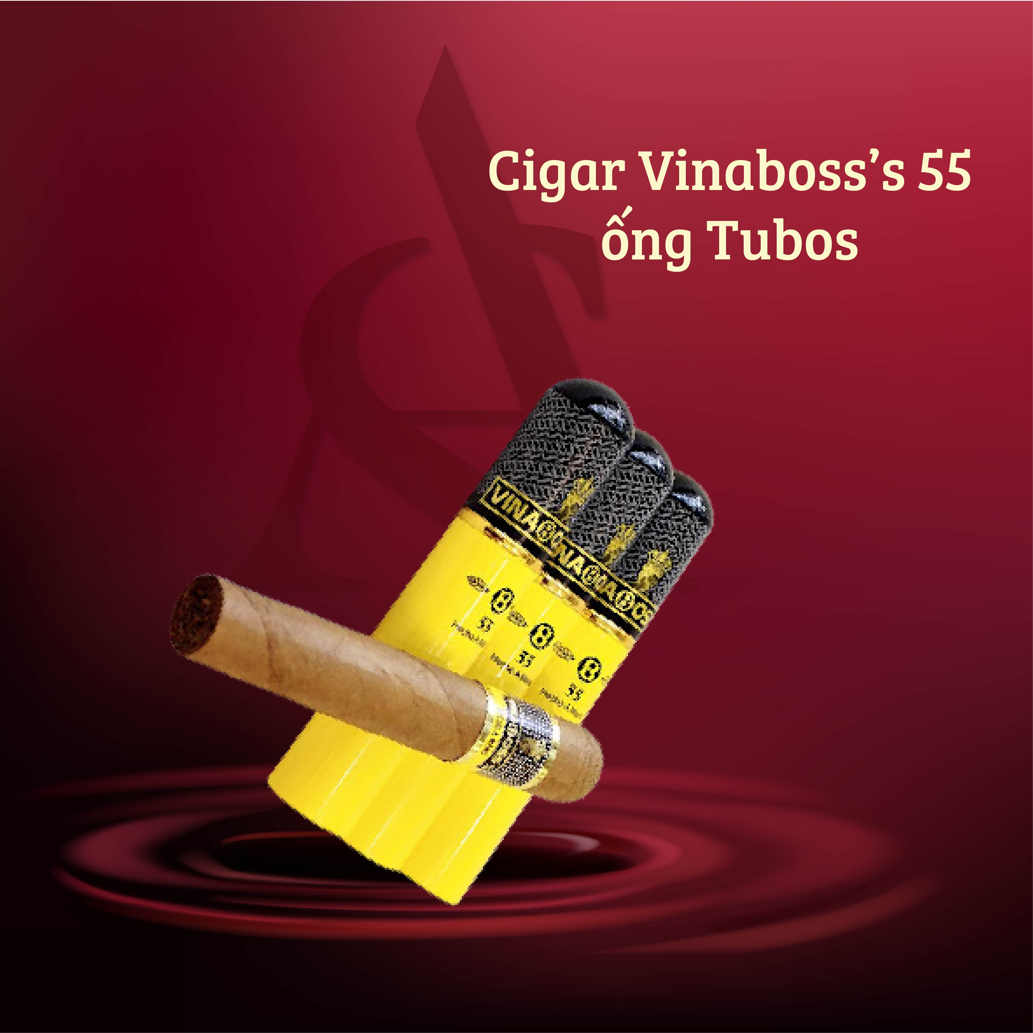 Cigar Vinaboss’s 55 ống Tubos - ảnh 1