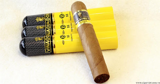 Cigar Vinaboss’s 55 ống Tubos - ảnh 2
