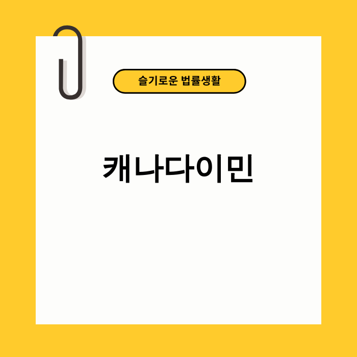 2025년 캐나다 이민의 새로운 패러다임을 보여주는 이미지
