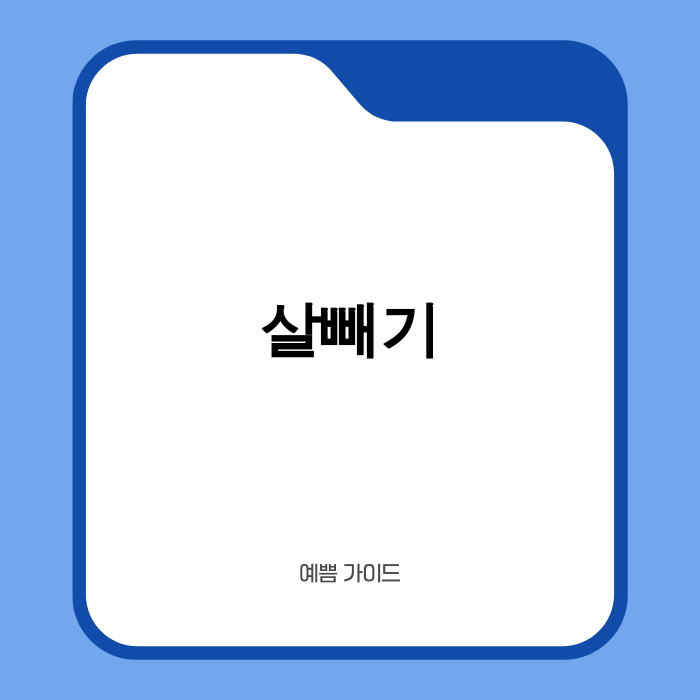 2025년 살빼기 전략