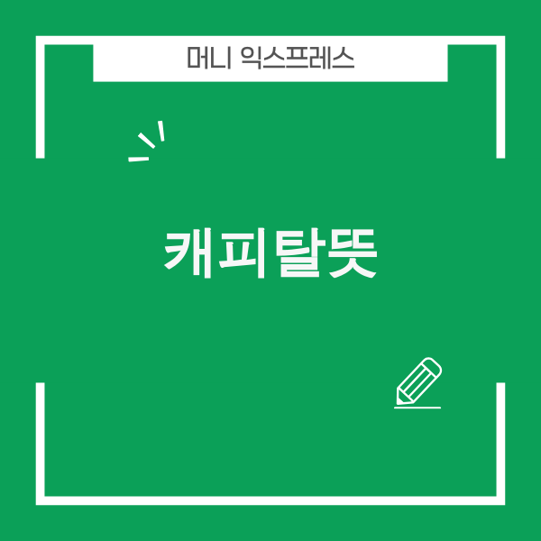 캐피탈뜻 관련 이미지