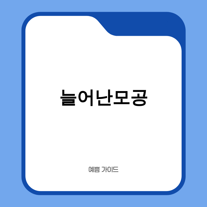 2025년 늘어난 모공 최신 지견