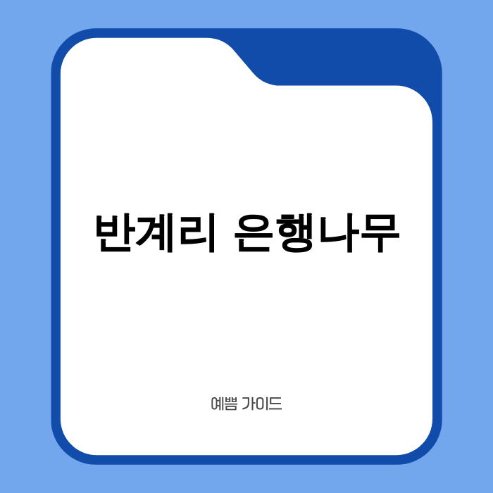 반계리 은행나무 가을 풍경