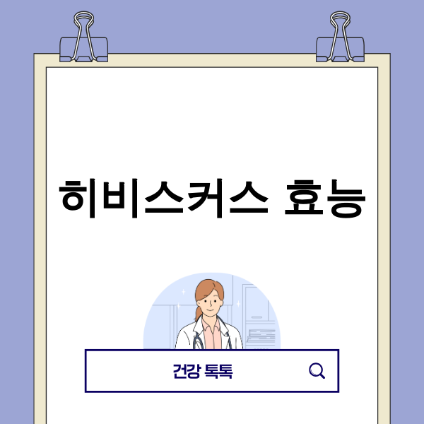 히비스커스 효능 상세 이미지 - 히비스커스 꽃차 이미지