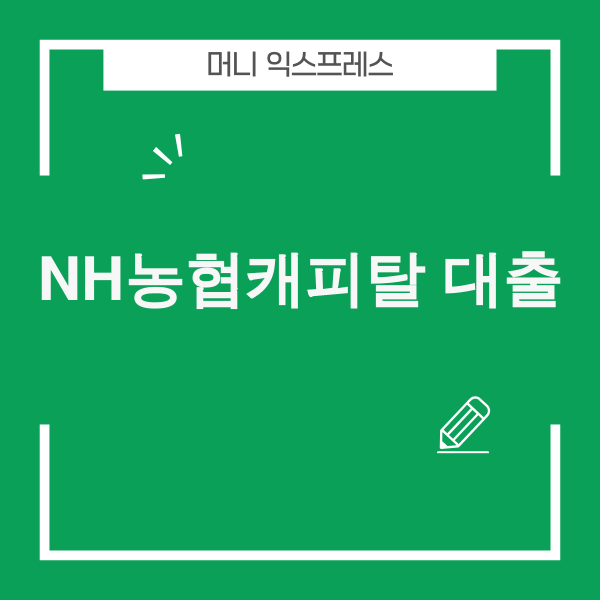 NH농협캐피탈 대출 정보 이미지