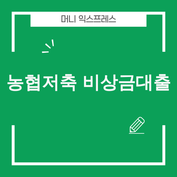 NH저축은행 NH비상금대출 이미지