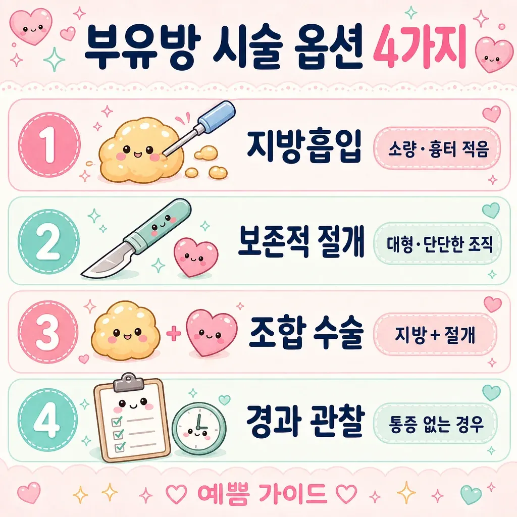 부유방 시술 옵션 4가지 카와이 인포그래픽