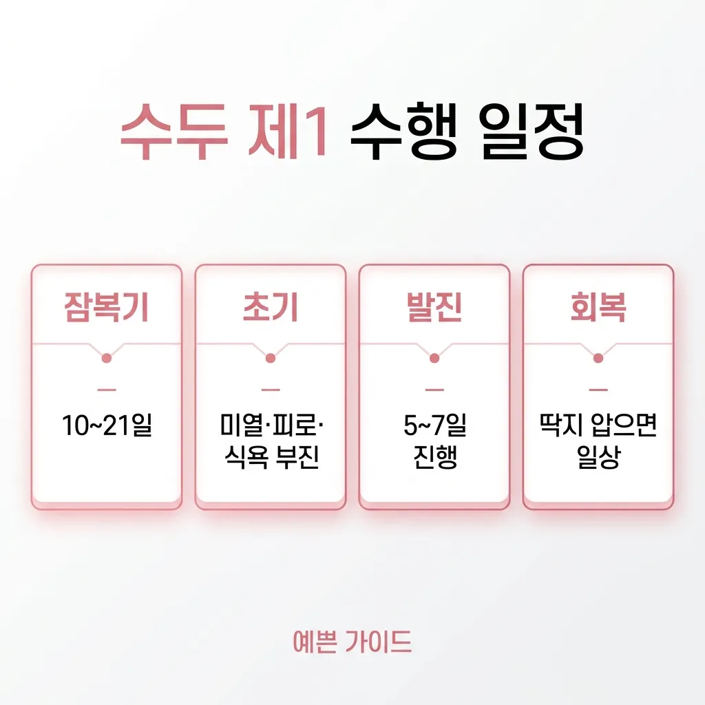 수두 증상 진행 일정 — 잠복기·초기·발진·회복