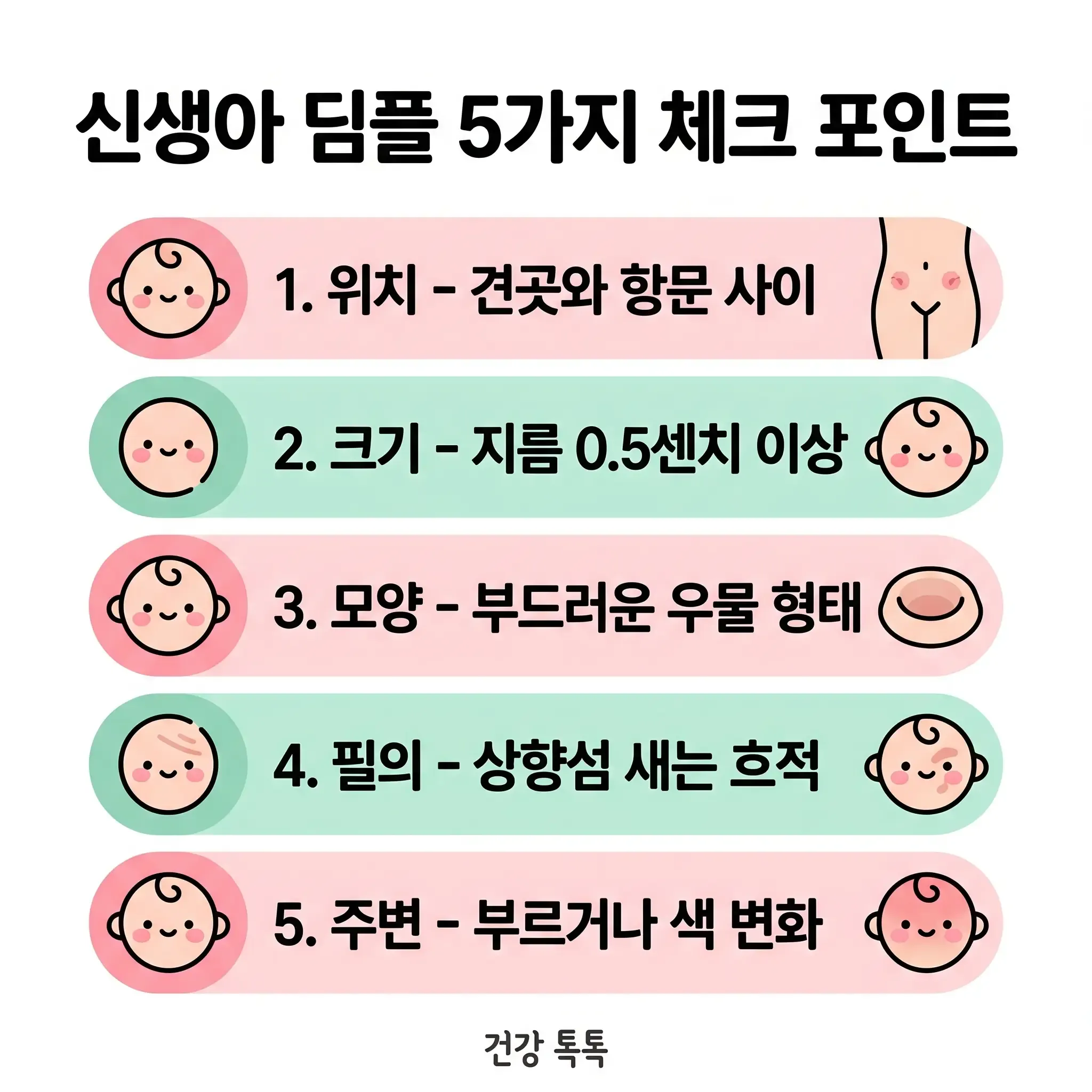 신생아 딤플 5가지 체크 포인트 카와이 인포그래픽