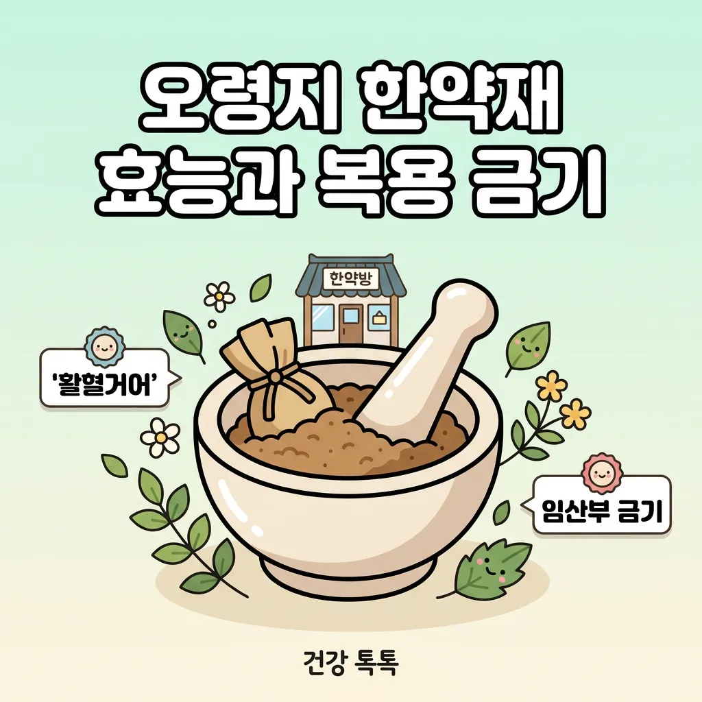 오령지 한약재 효능과 복용 금기 인포그래픽
