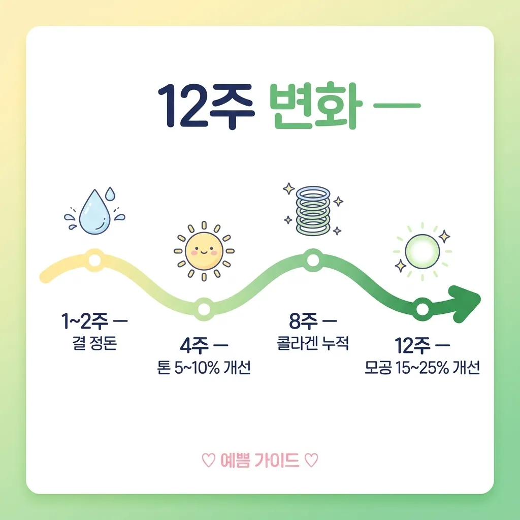 늘어진모공 12주 변화 타임라인 카와이 인포그래픽