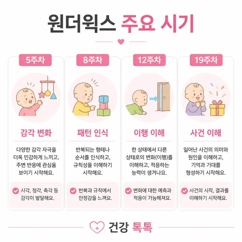 wonder-weeks-stages 원더윅스 주요 시기