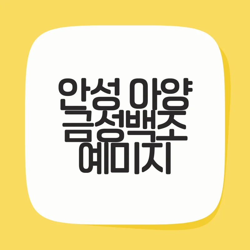 안성 아양 금성백조 예미지.png
