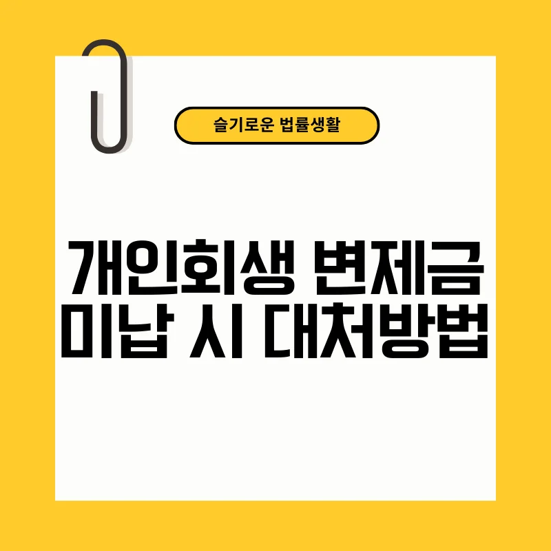 개인회생 변제금 미납 시 대처 방법.png