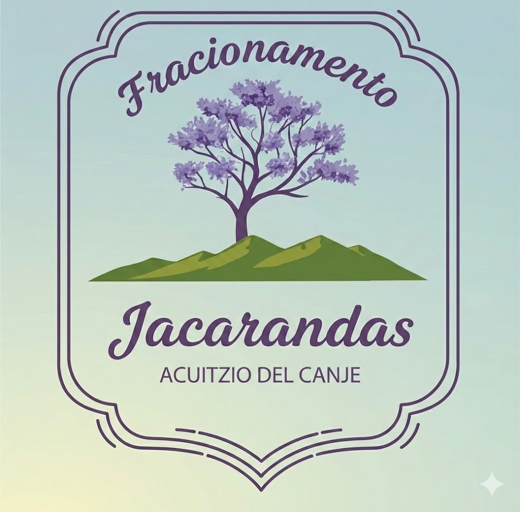 JACARANDAS en Acuitzio del Canje