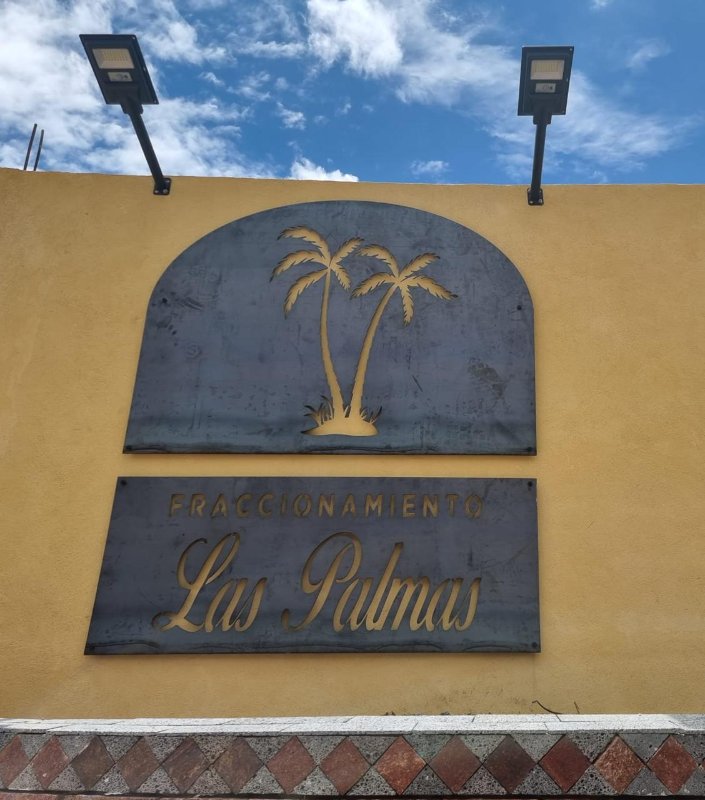 PALMAS en ACUITZIO DEL CANJE MICHOACAN