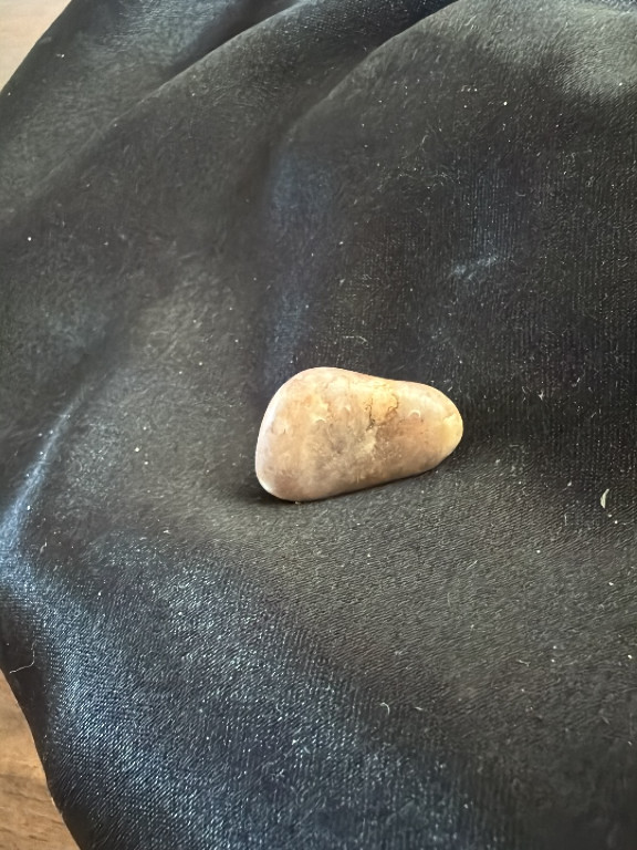 Polished stone, possibly a dinosaur gastrolith (stomach stone) or river-tumbled quartz pebble