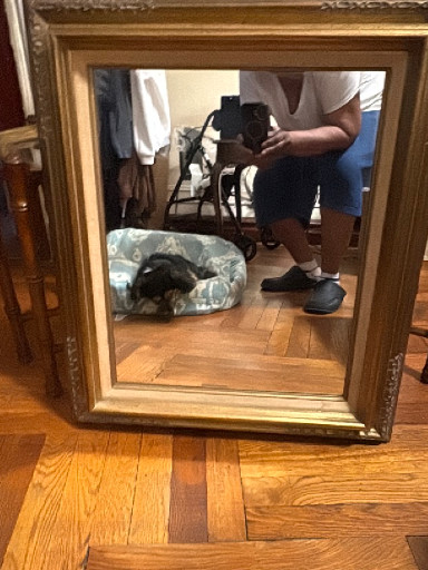 Ornate gilt wood and gesso wall mirror with beveled glass