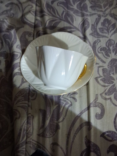 Bone china teacup and saucer set with gold trim by Shelley