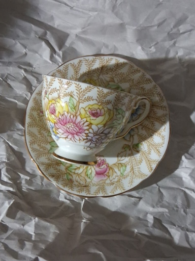 Bone china teacup and saucer in 'Fern Posy' pattern by Royal Stafford