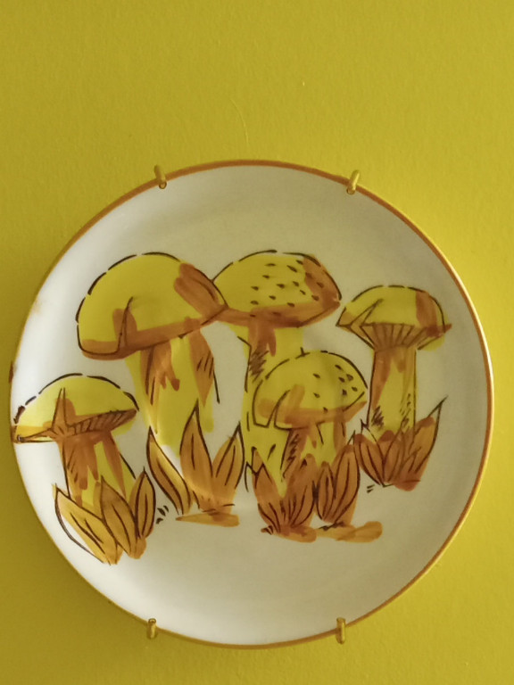 Hand-painted ceramic decorative plate with mushroom design