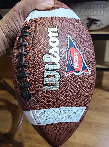 Wilson 1005 official leather game football with AFL (Arena Football League) logo