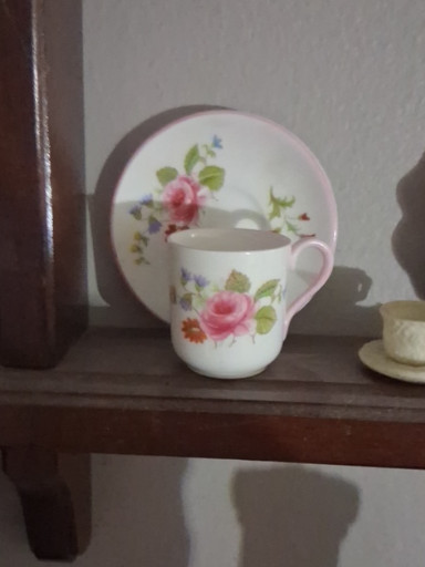 Fine bone china miniature cup and saucer with hand-painted rose floral decoration