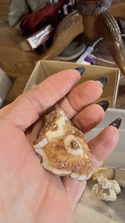 Polished Amber Calcite slab specimen