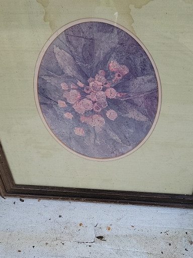 Framed floral art print depicting pink peonies