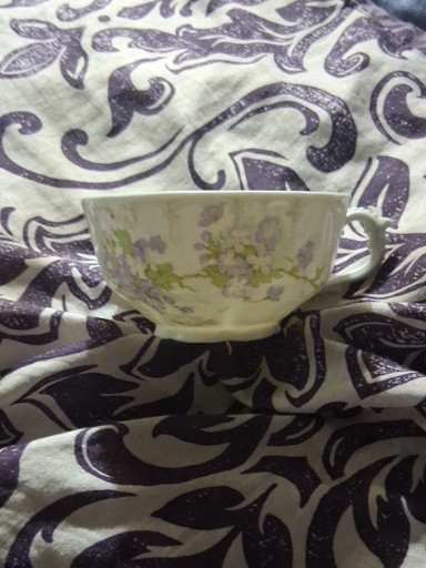Porcelain teacup with floral decoration by Habsburg austria