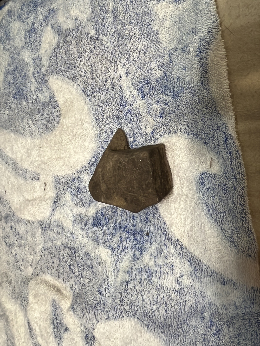 Stone tool, likely an Oldowan pebble chopper or hand axe