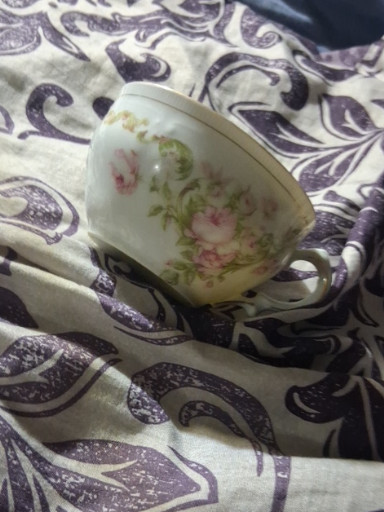 Porcelain teacup and saucer with hand-painted pink rose floral decoration