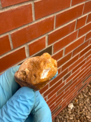 Raw amber specimen