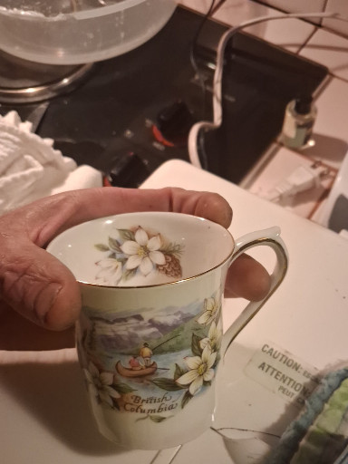 Queens Bone china mug with British Columbia floral design by Sadler Wellington