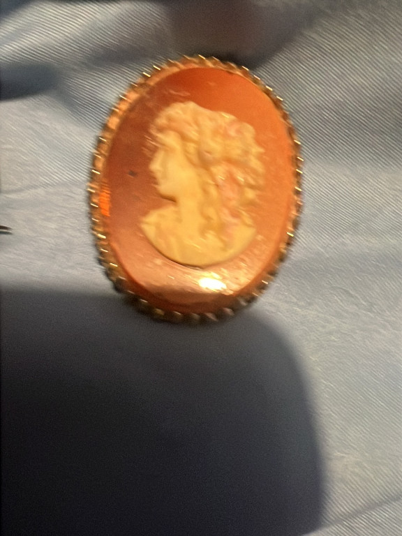 Shell cameo brooch depicting a female profile in gold-plated or gold-filled setting