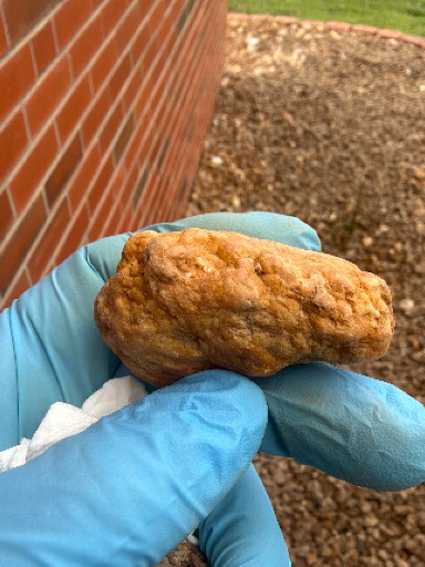 Natural gold nugget specimen