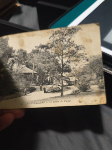 Vintage postcard titled 'Saint-Nazaire - Le Jardin des Plantes'