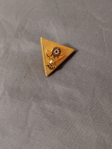 Gold-tone metal triangular lapel pin with star emblem